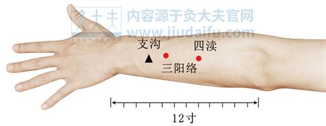 四瀆穴|四瀆穴位置 